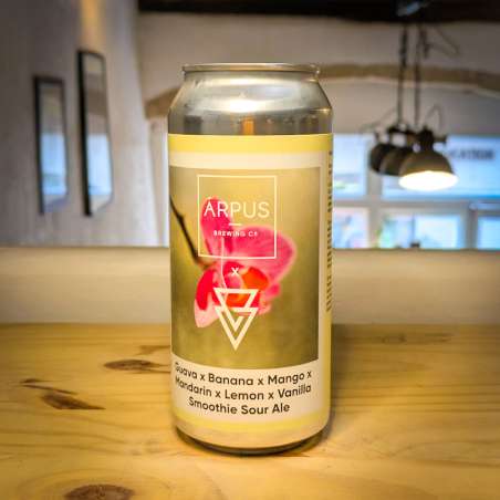 Arpus x Azvex - Goyave Banane Mangue Mandarine Citron Vanille - Smoothie Sour Ale