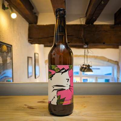 Tropic Ale